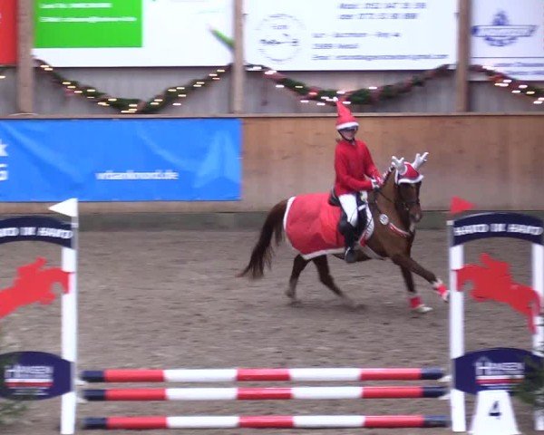Reitturnier Leck 2024