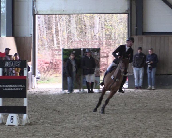 Reitturnier Zwickau 2024