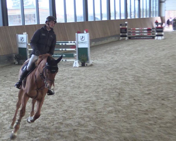 Reitturnier Zwickau 2024