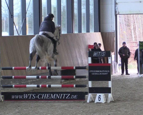 Reitturnier Zwickau 2024