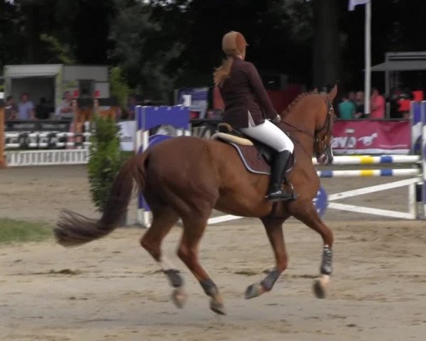 Datteln 2013