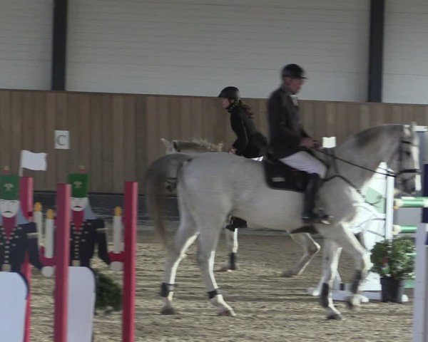 Reitturnier Zwickau 2024