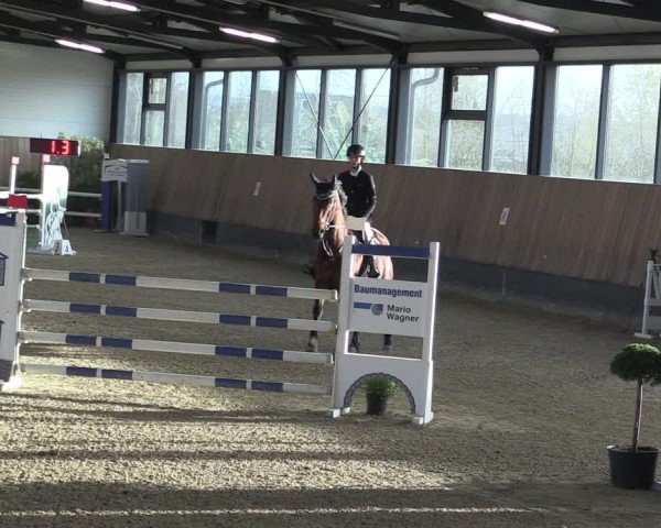 Reitturnier Zwickau 2024