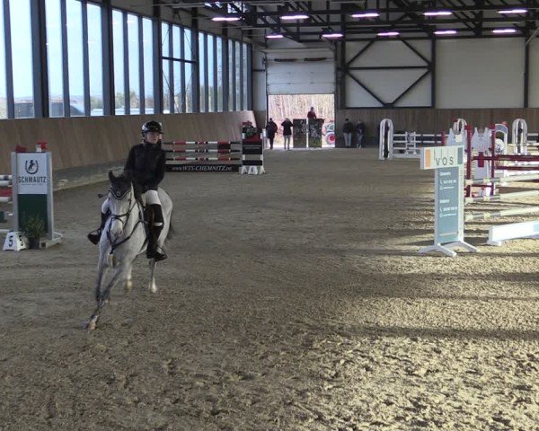 Reitturnier Zwickau 2024