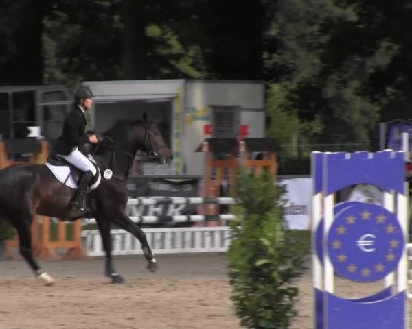 Datteln 2013