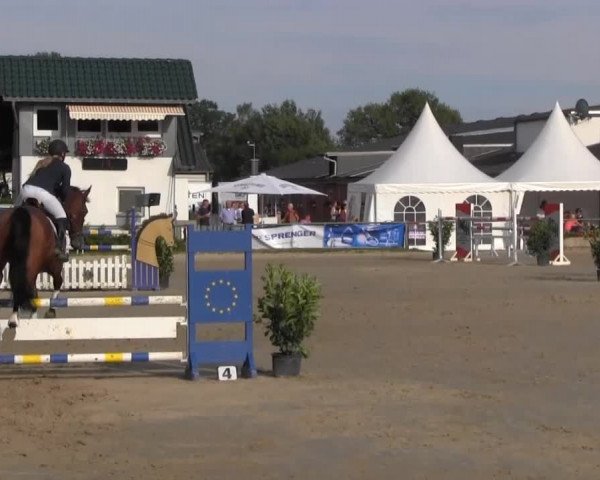 Datteln 2013