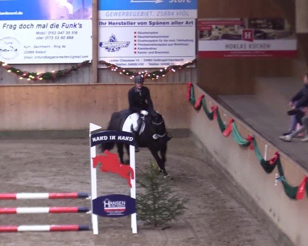 Reitturnier Leck 2024