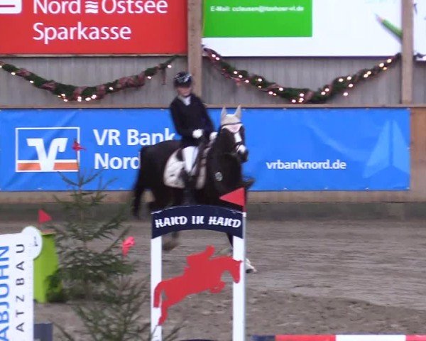 Reitturnier Leck 2024