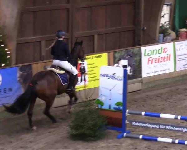 Reitturnier Leck 2024