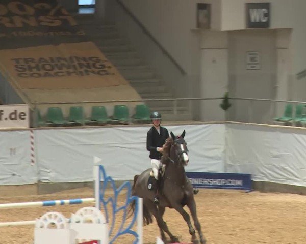 Reitturnier Kreuth/Opf. 2024