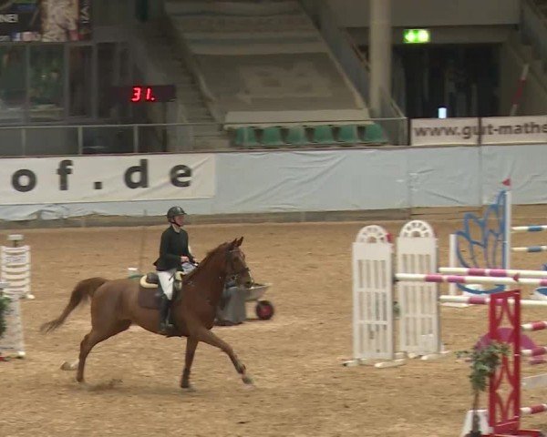 Reitturnier Kreuth/Opf. 2024