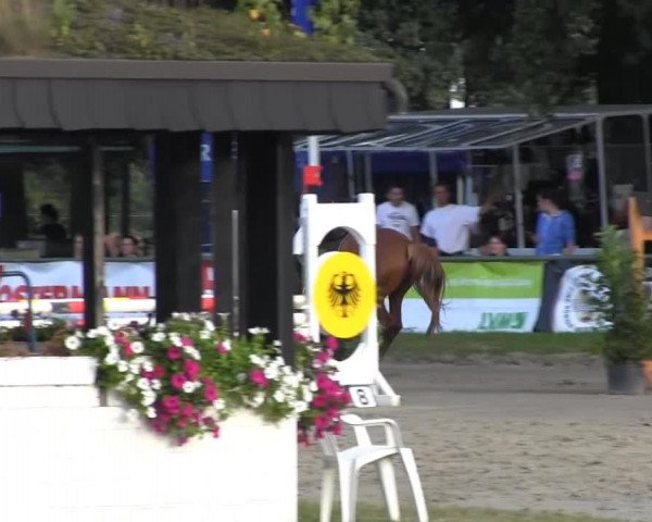 Datteln 2013