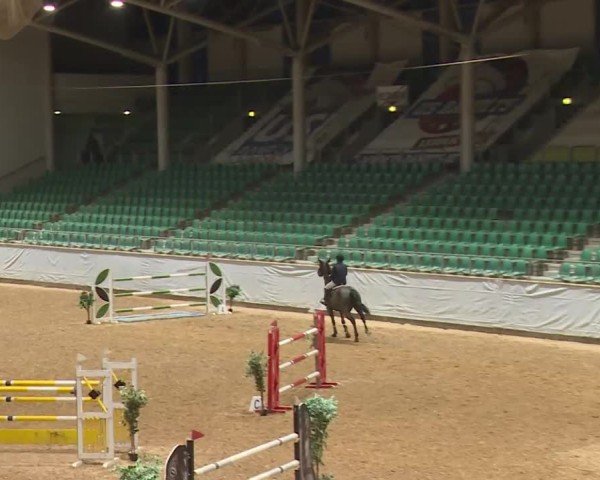 Reitturnier Kreuth/Opf. 2024