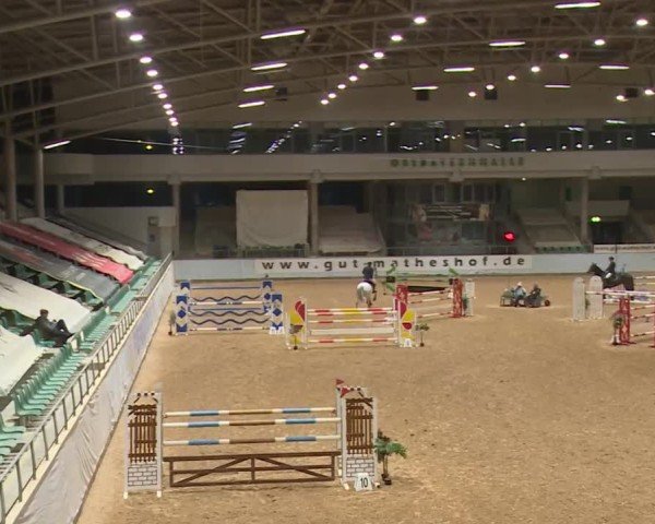 Reitturnier Kreuth/Opf. 2024