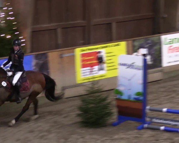Reitturnier Leck 2024