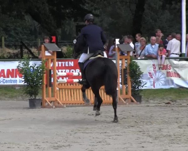 Datteln 2013