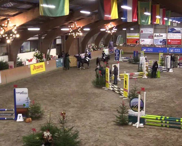 Reitturnier Leck 2024