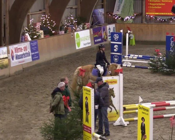 Reitturnier Leck 2024