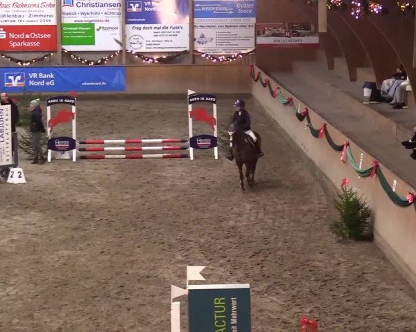Reitturnier Leck 2024