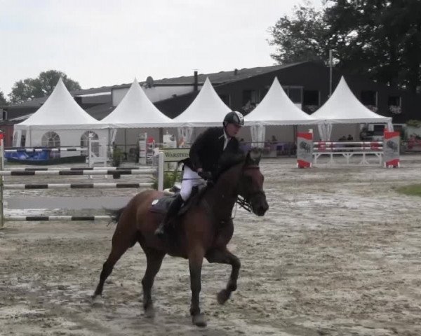 Datteln 2013