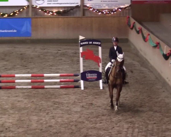 Reitturnier Leck 2024
