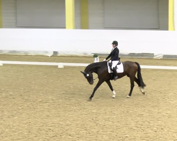 Reitturnier Stadl-Paura 2024