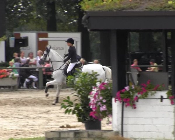 Datteln 2013