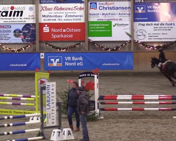 Reitturnier Leck 2024