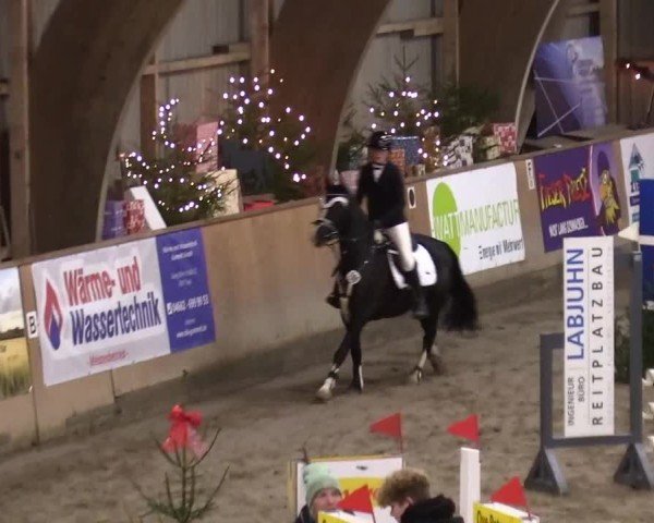 Reitturnier Leck 2024