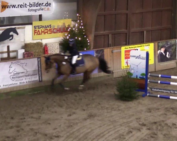 Reitturnier Leck 2024