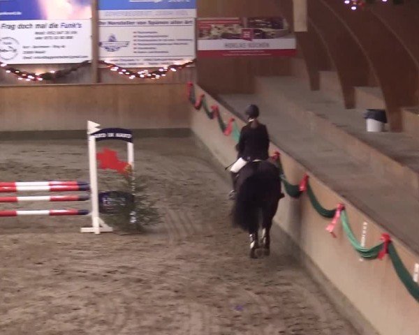 Reitturnier Leck 2024