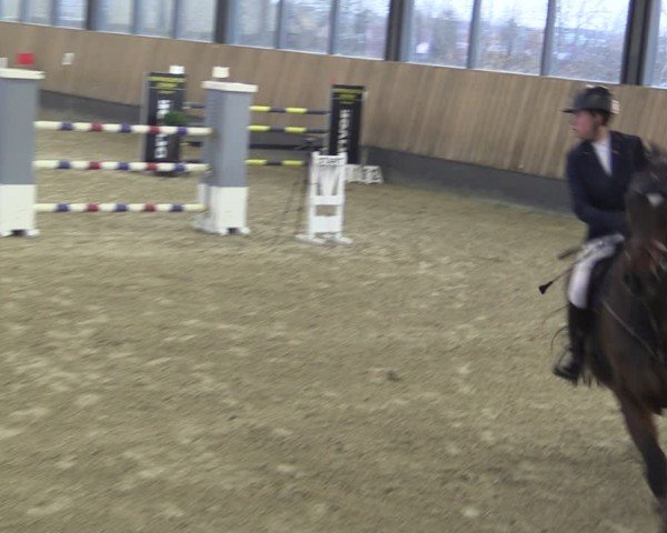 Reitturnier Zwickau 2024