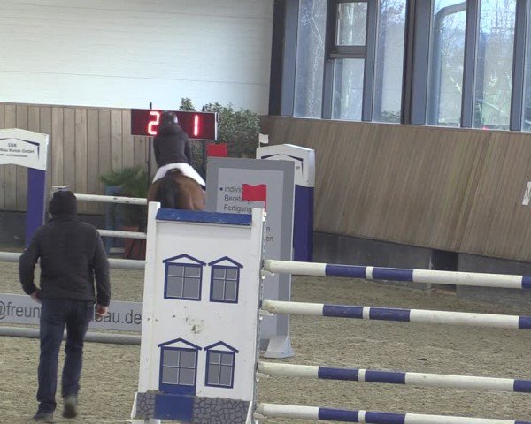 Reitturnier Zwickau 2024
