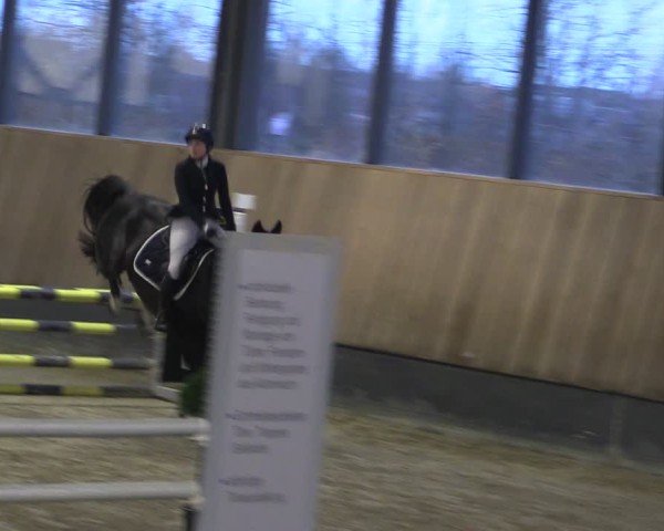 Reitturnier Zwickau 2024