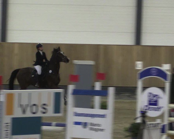 Reitturnier Zwickau 2024