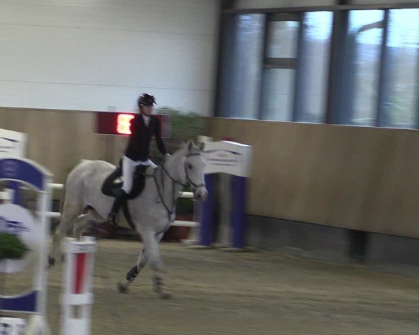 Reitturnier Zwickau 2024