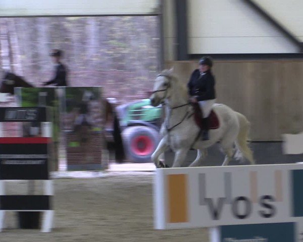 Reitturnier Zwickau 2024