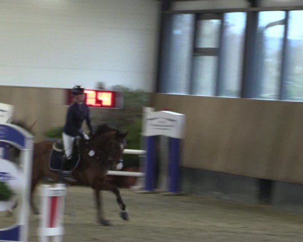 Reitturnier Zwickau 2024
