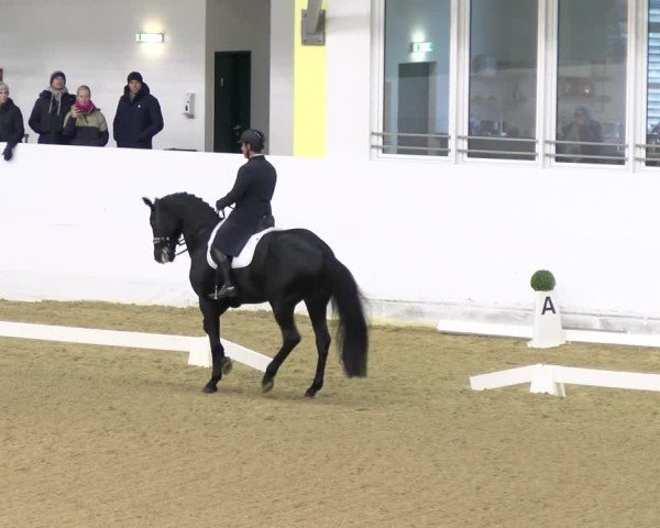 Reitturnier Stadl-Paura 2024