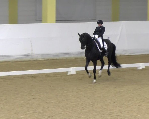 Reitturnier Stadl-Paura 2024