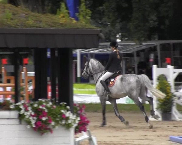 Datteln 2013