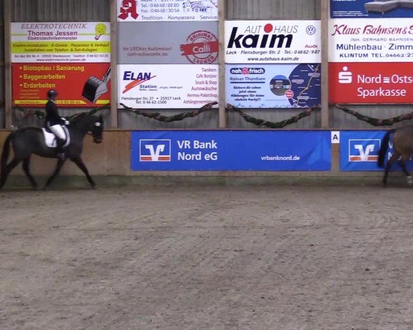 Reitturnier Leck 2024