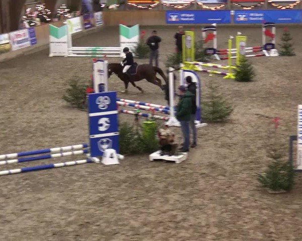 Reitturnier Leck 2024
