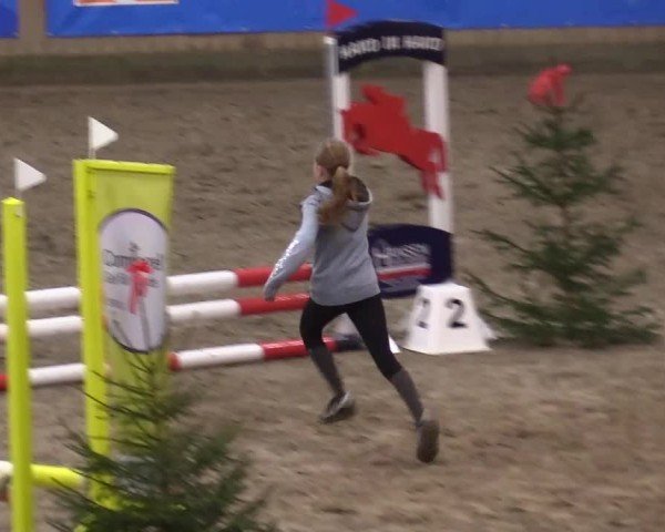 Reitturnier Leck 2024