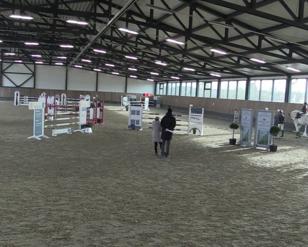 Reitturnier Zwickau 2024
