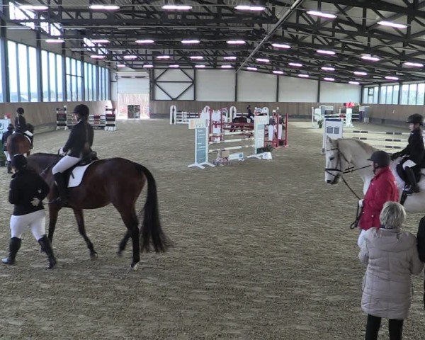 Reitturnier Zwickau 2024