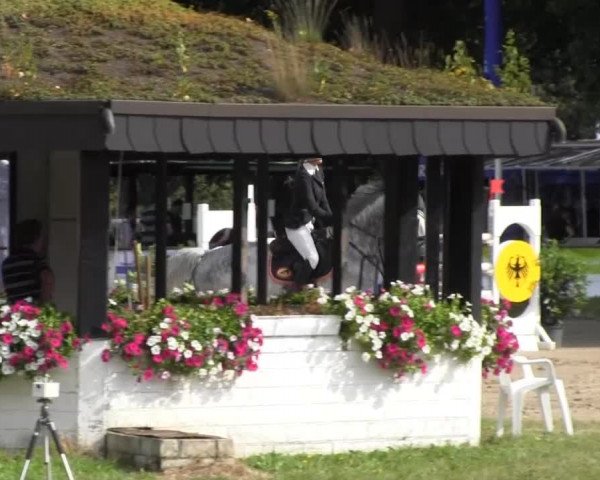 Datteln 2013