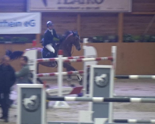 Springturnier Xanten - Reitanlage Miss 2021