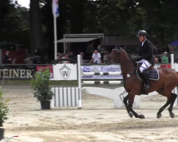 Datteln 2013