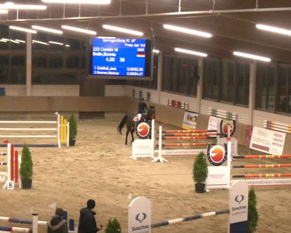 Reitturnier Oelde 2024